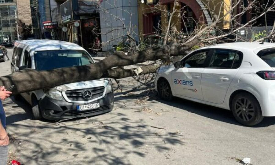 Bie lisi mbi një veturë në rrugën “Bajram Kelmendi” në Prishtinë, pa të lënduar.