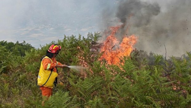 AME paralajmëron për rrezikun e zjarreve gjatë sezonit të verës dhe apelon për kujdes maksimal