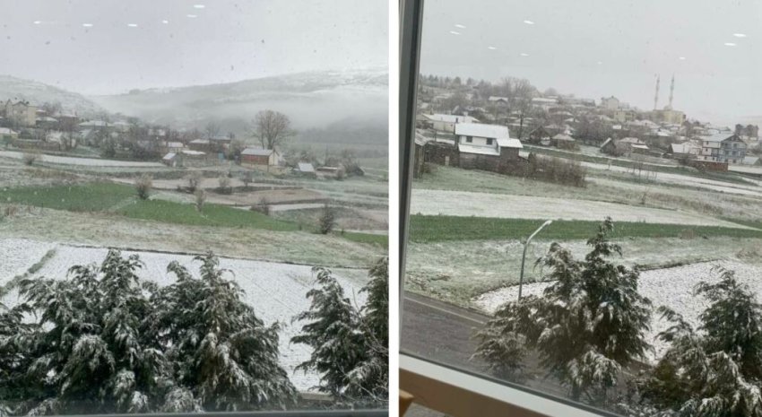 Borë e papritur në Kukës, rrezik për pemët dhe kulturat bujqësore në pranverë