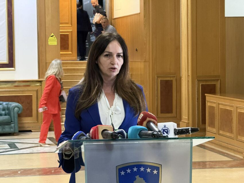 VV do të tërheqë kandidaturat për president në momentin që PDK dhe LDK propozojnë tre emra kredibilë.