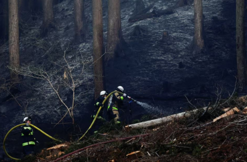 Mbi 1,000 zjarrfikës luftojnë me zjarret masive në Japoni, mijëra evakuime