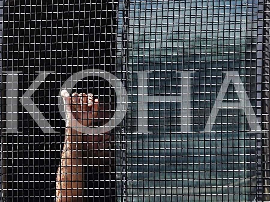 Skandali me falsifikim dokumentesh dhe tjetërsim pronash në Ferizaj, kërkohet paraburgim për pesë të dyshuar