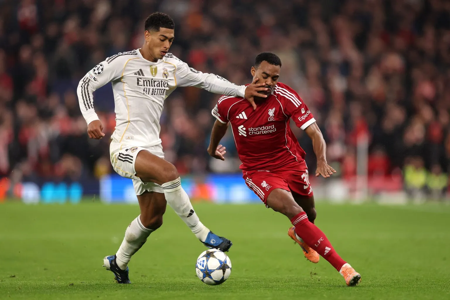 Liverpooli është favorit në bisedimet për transferimin e Adam Wharton, duke parakaluar Realin në garën për yllin e Premierligës.