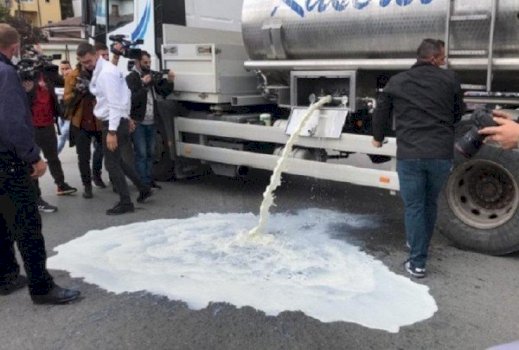 Fermerët e Drenasit protestojnë duke derdhur qumështin në kanal për shkak të uljes së çmimit nga 48 në 27-30 centë për litër.