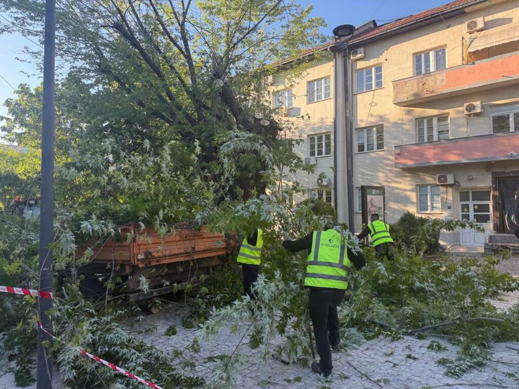 Erërat e forta shkaktuan 17 intervenime emergjente në Prishtinë dhe rrethinë.