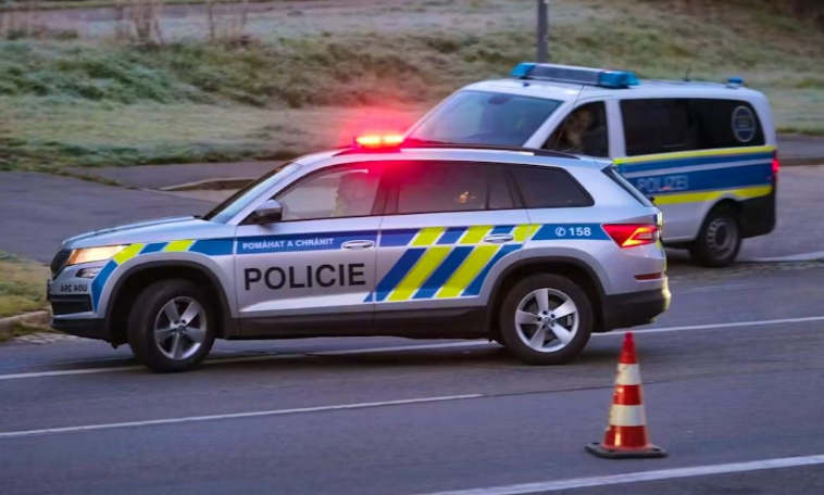 Mbetjet e foshnjës së porsalindur gjetën në një kopsht në Çeki, nëna 35-vjeçare në pranga