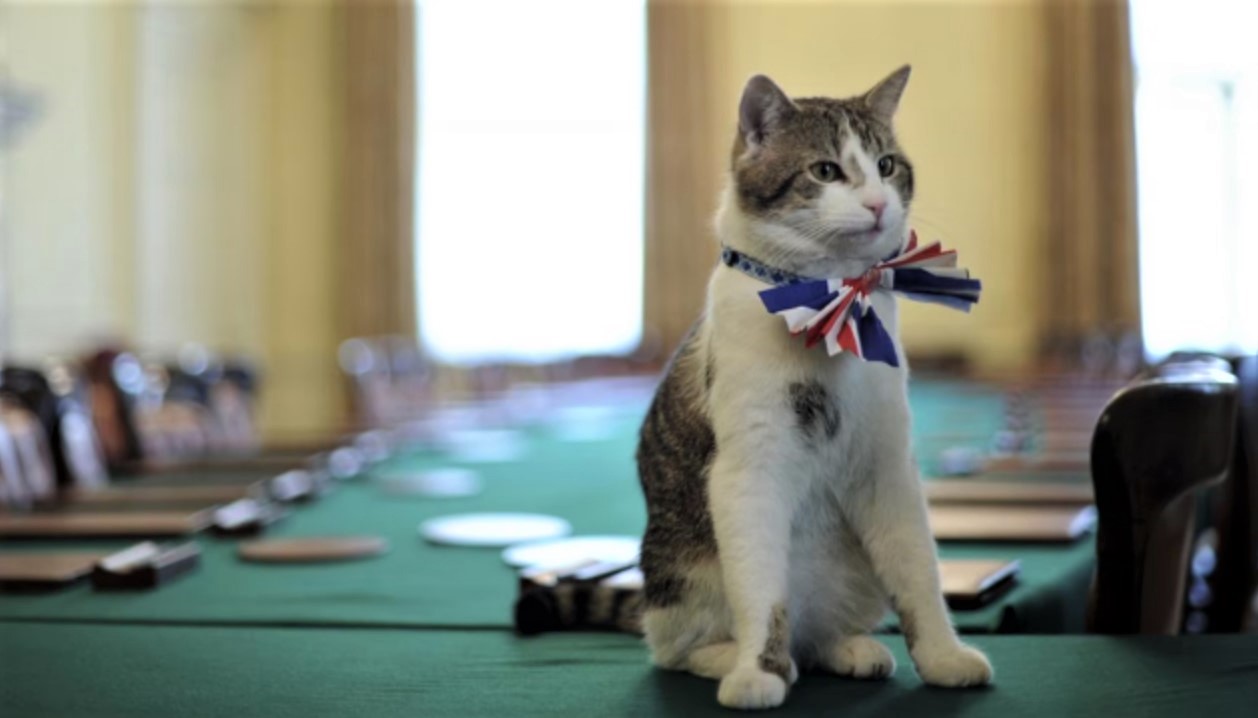 Macja që ka parë 6 kryeministra në Downing Street