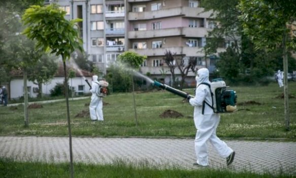 Kur nis faza e tretë e dezinsektimit në Prishtinë dhe çfarë duhet të dini