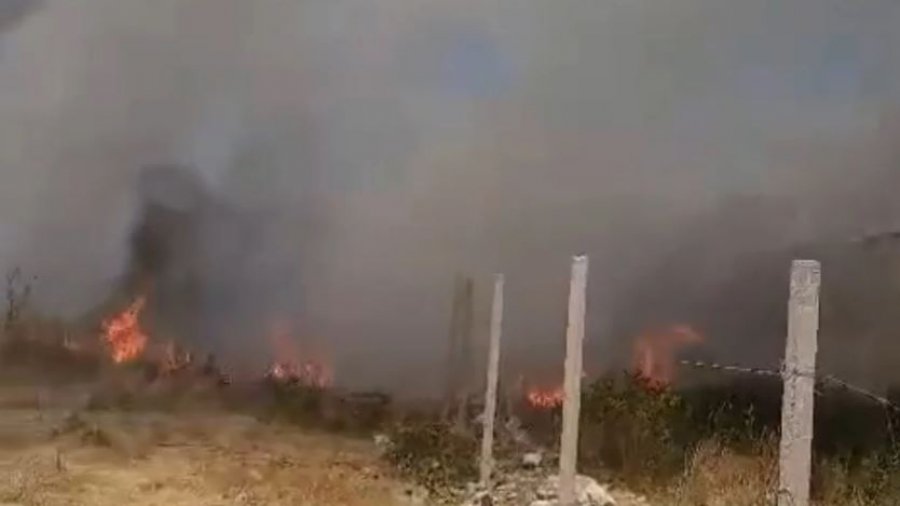 Flakët kërcënojnë banesat në periferi të Vlorës, zjarrfikësit në betejë me zjarret
