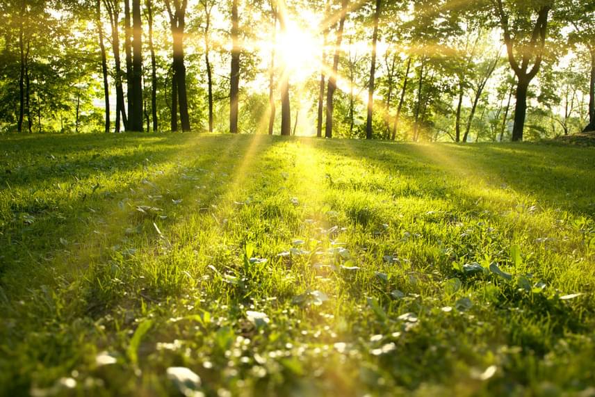 Fundjava me diell dhe temperatura të larta, ideal për korrjet e grurit