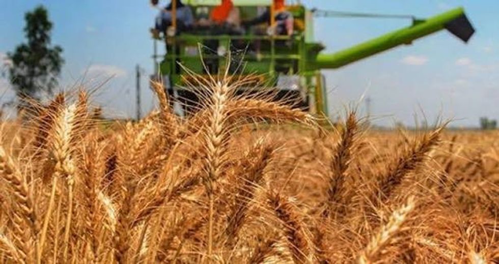 Istogu paralajmëron fermerët për rrezikun e zjarreve gjatë korrje-shirjeve