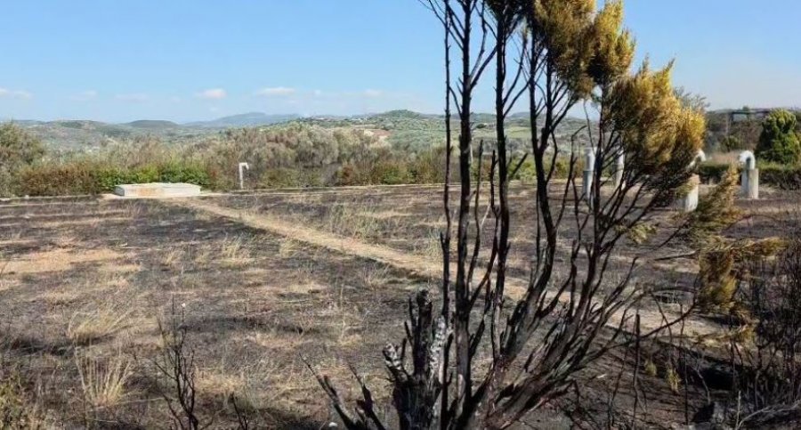Zjarri në Peshtan të Fierit, vatra e fundit është shuar