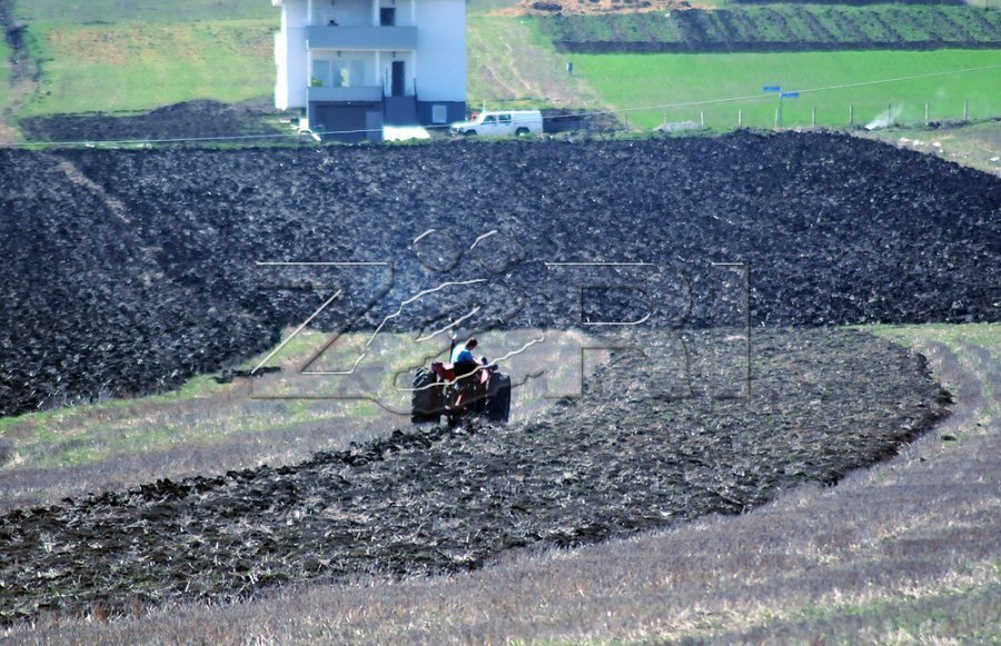 Fermerët e Rahovecit përballen me kosto të larta pavarësisht rendimenteve të mira