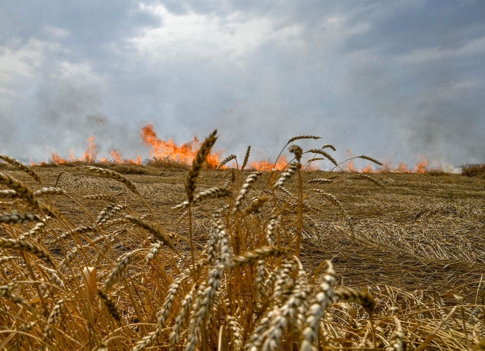 Sulmet ruse me bomba ndezëse shkatërrojnë të korrat ukrainase dhe thellojnë krizën bujqësore