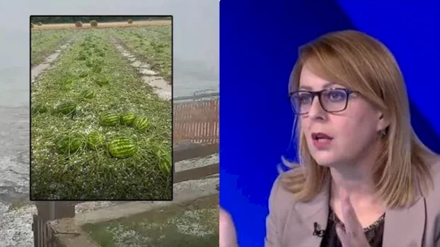 Dëmet e breshërit në Istog: Fermerët kërkojnë mbështetje urgjente nga Qeveria