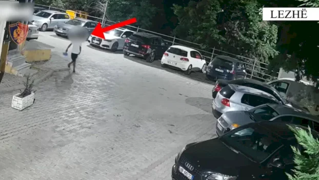 Arrestime në Lezhë për vjedhje të shumta, policia në kërkim të të tjerëve