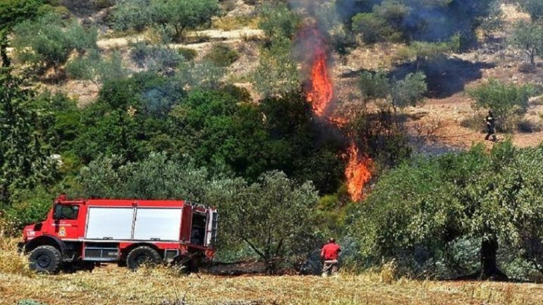 Greqia në zjarr dhe në tension: zjarrfikësit sulmohen ndërsa luftojnë flakët