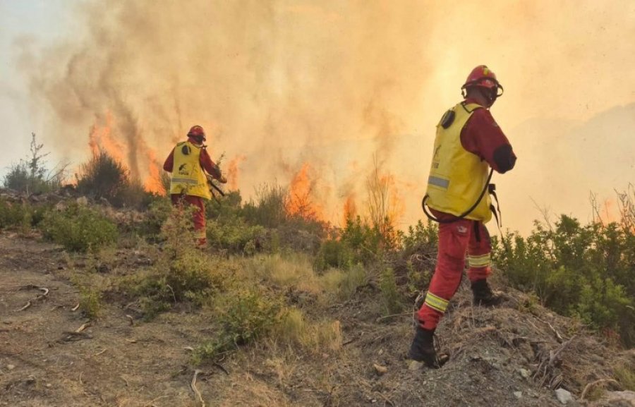 Forcat në terren përballojnë 20 vatra zjarri në Shqipëri me 727 efektivë