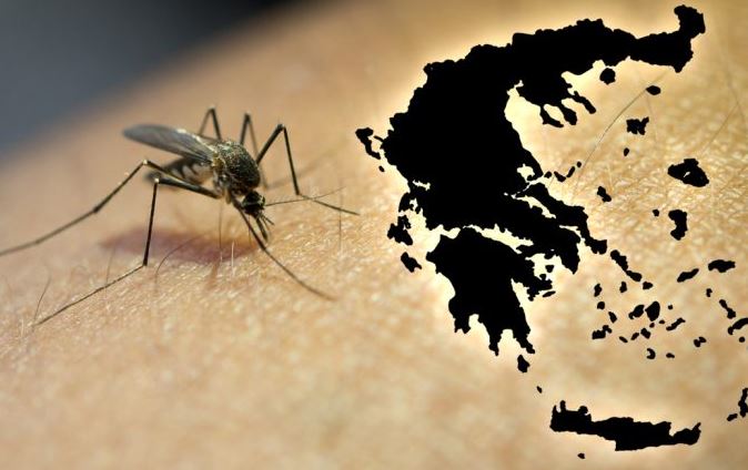 Rritja shqetësuese e virusit të Nilit Perëndimor në Greqi