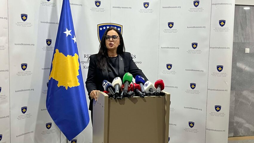 LDK kërkon qetësi dhe përgjegjësi për shmangien e përçarjes qytetare në Kosovë