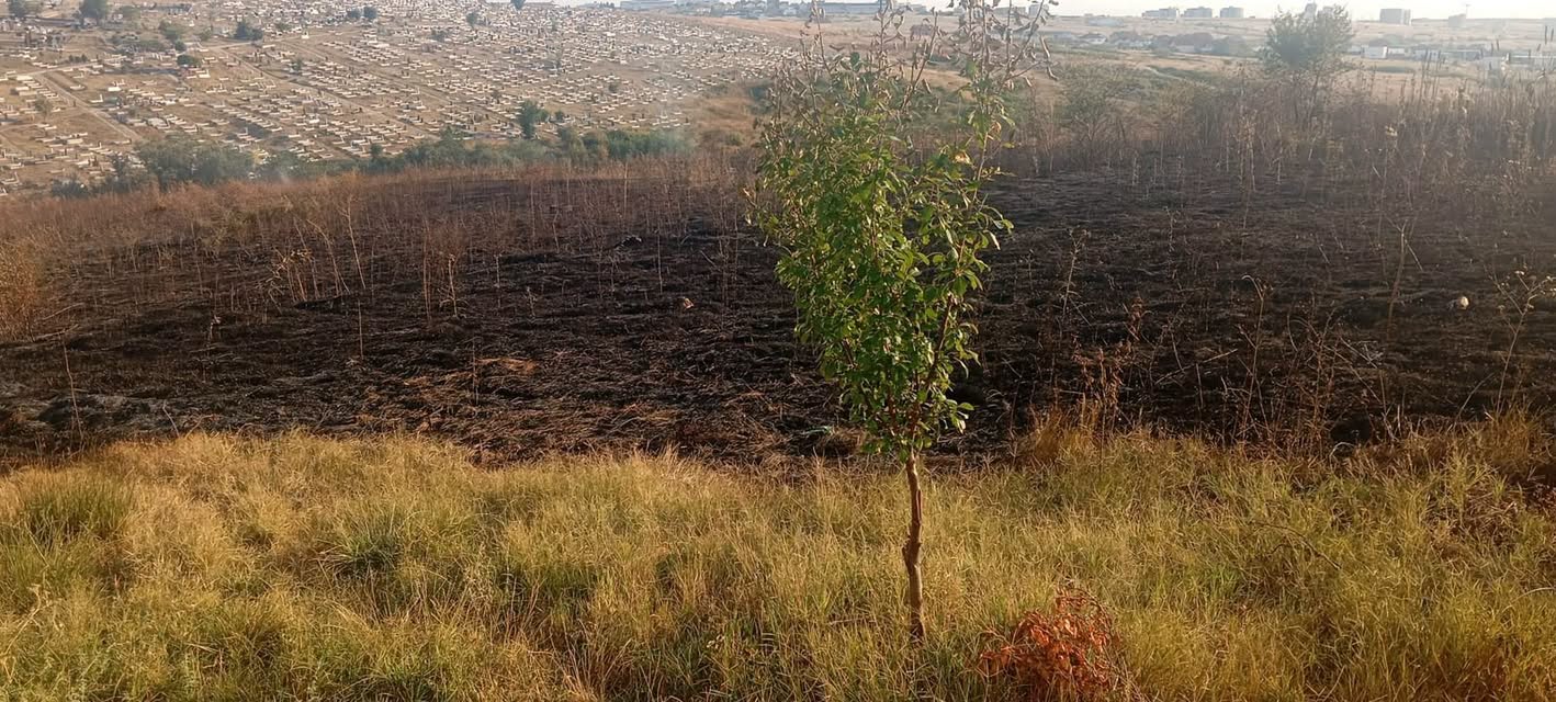 Zjarrfikësit lokalizuan zjarri i madh pranë Varrezave të Qytetit në Prishtinë, duke parandaluar përhapjen drejt shtëpive.