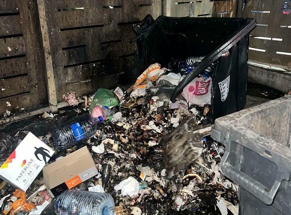 Zjarri në kontejnerët e Prishtinës ndez alarm për sigurinë dhe mjedisin