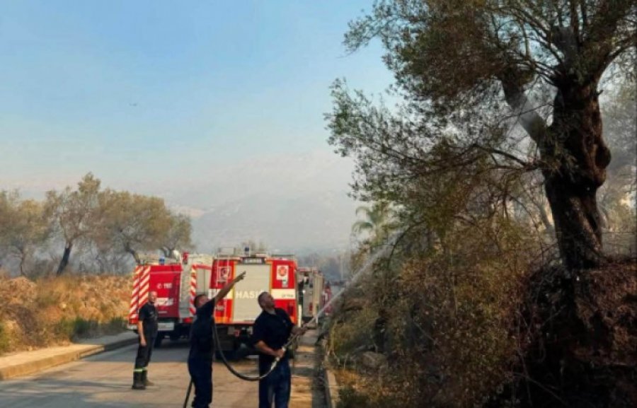 Zjarret në Himarë dhe Fier: Situata nën kontroll pas një nate të vështirë