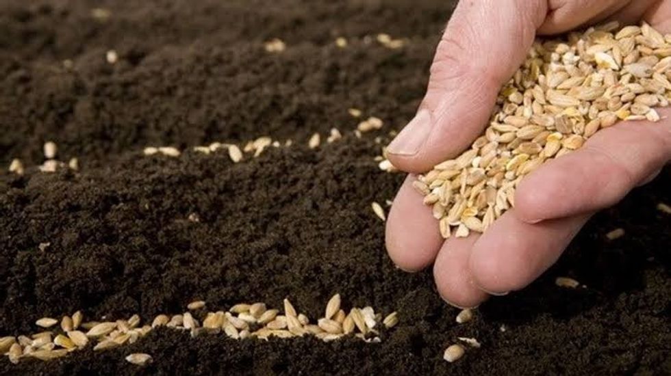 Kosova vendos detyrim antidamping prej 0.04 euro/kg ndaj farës së grurit serb.