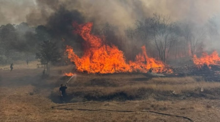 Flakët përfshijnë 150 hektarë në Hereq, zjarrfikësi i lënduar dhe përpjekjet heroike për shuarjen