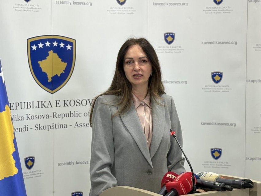 Tension në LDK dhe Vetëvendosje për kandidatin presidencial