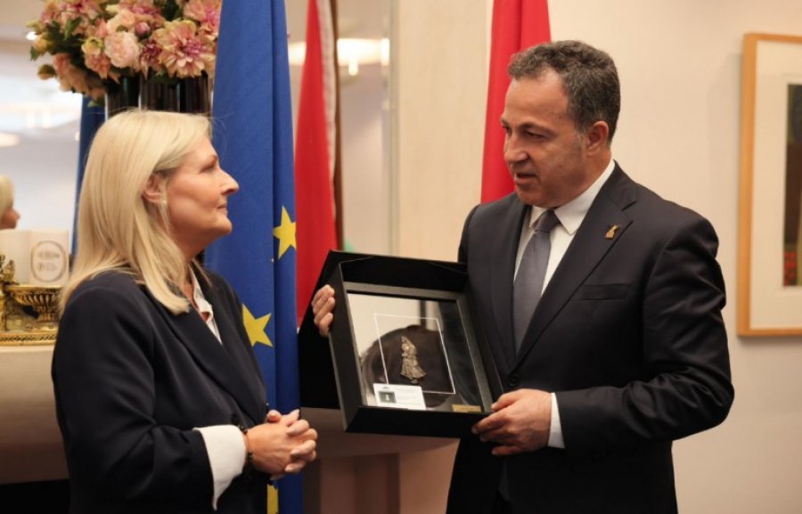 Peleshi në Irlandë kërkon mbështetje për anëtarësimin e Shqipërisë në BE