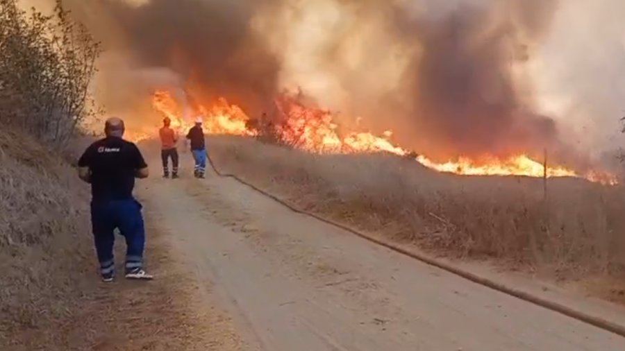 Flakët në Fier rrezikojnë lokale dhe ullishte, ndërhyrja nga ajri bëhet urgjente