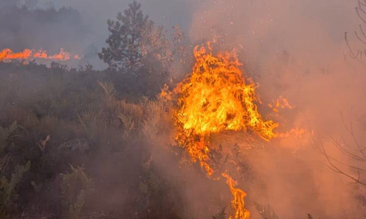27 vatra zjarri në Shqipëri, situata e vështirë në Dibër dhe Dajt
