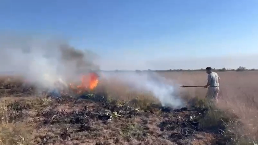 Flakët pushtojnë pyllin e Semanit, zjarrfikësit në betejë me katër vatra zjarri