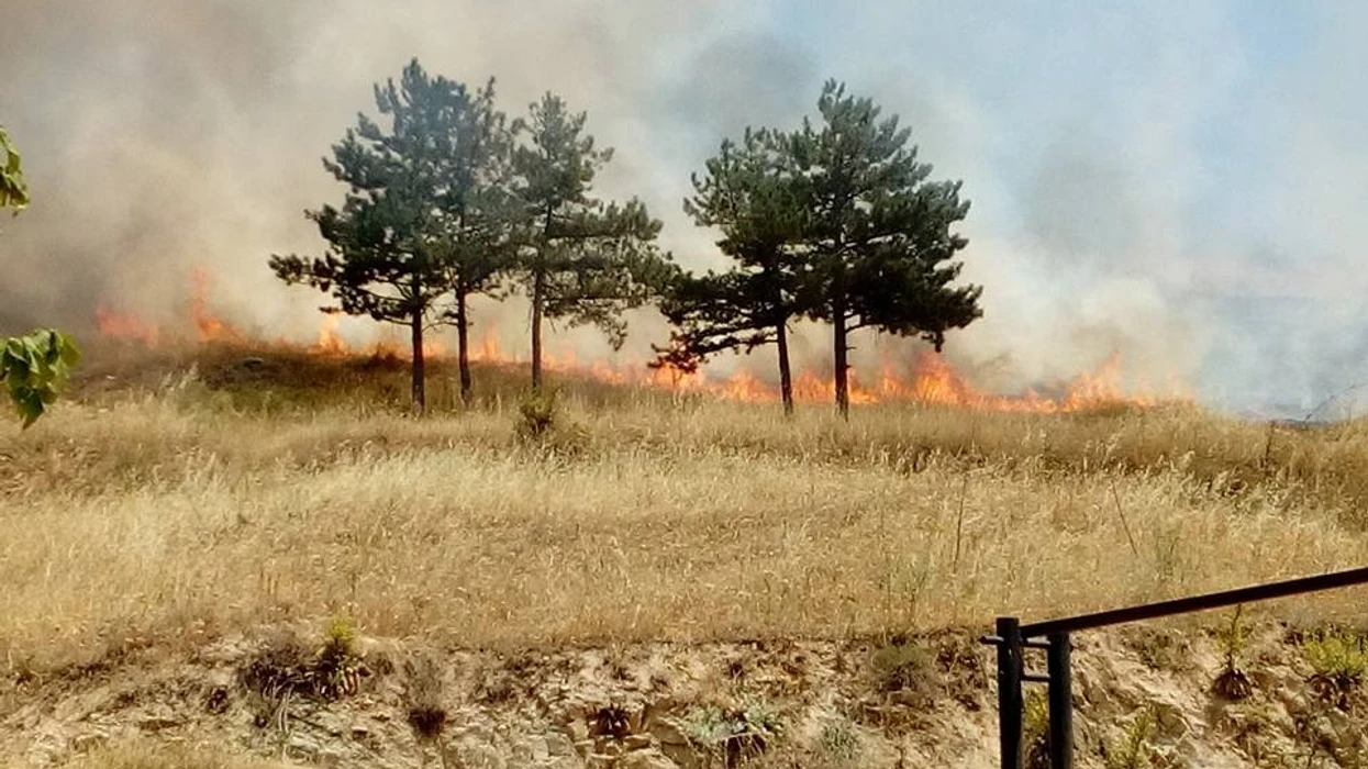 42 zjarre në hapësira të hapura në Maqedoni, pesë ende aktive