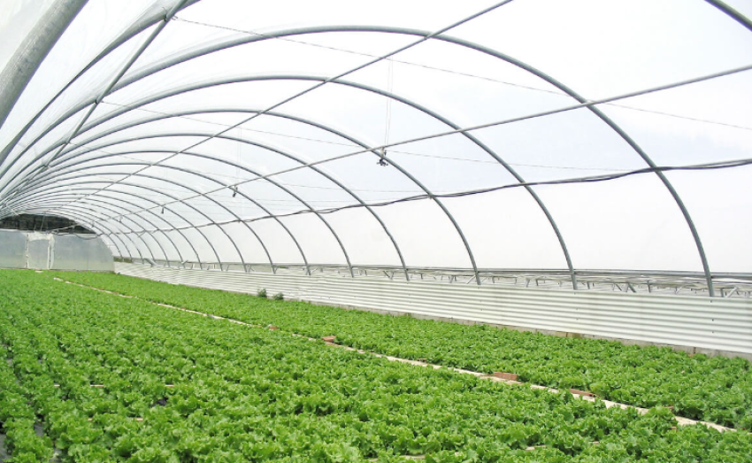 Komuna e Prishtinës hap thirrjen për përkrahjen e fermerëve në ndërtimin e serave