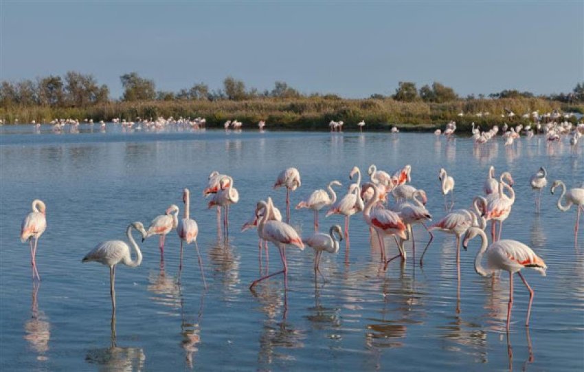 Veriu i Shqipërisë, destinacioni elitar i ardhshëm i Evropës