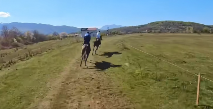 Triumfues në garën tradicionale të kuajve në Opojë u shpall VAZIR nga Kosova, me Muhedin Asllanin si kuajpritës.
