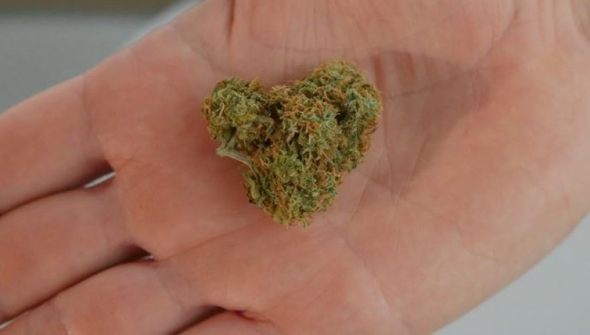 Kapet në Prizren duke mbajtur mbi 5 gramë marihuanë pas tentativës për t’i ikur Policisë