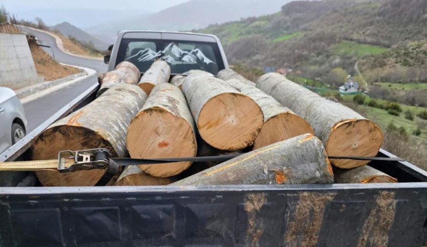 Policia ndalon dy raste të transportit të kundërligjshëm të drunjve në Podujevë