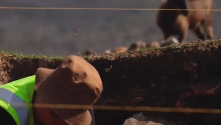 Zbulohet vendbanim i rëndësishëm arkeologjik pranë Lushnjës