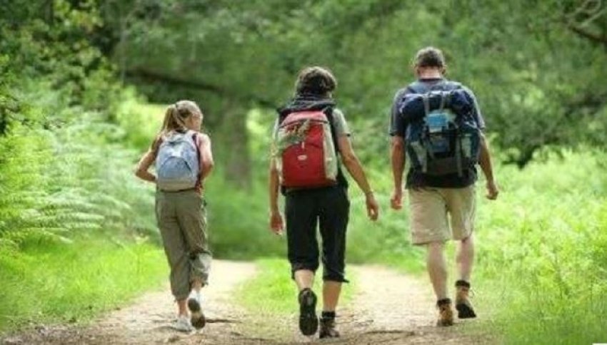 Ecja si Ushtrim Efektiv për Shëndetin: Çfarë Thonë Ekspertët