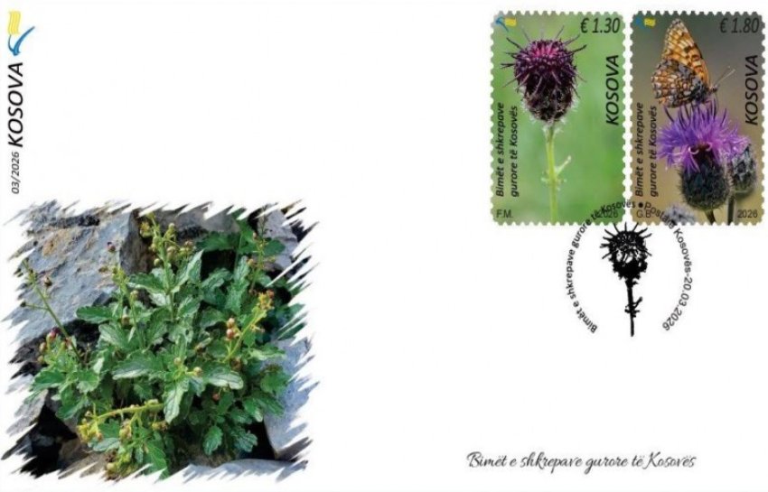 Posta e Kosovës lansoi emisionin e ri të pullave postare “Bimët e shkrepave gurore të Kosovës”.