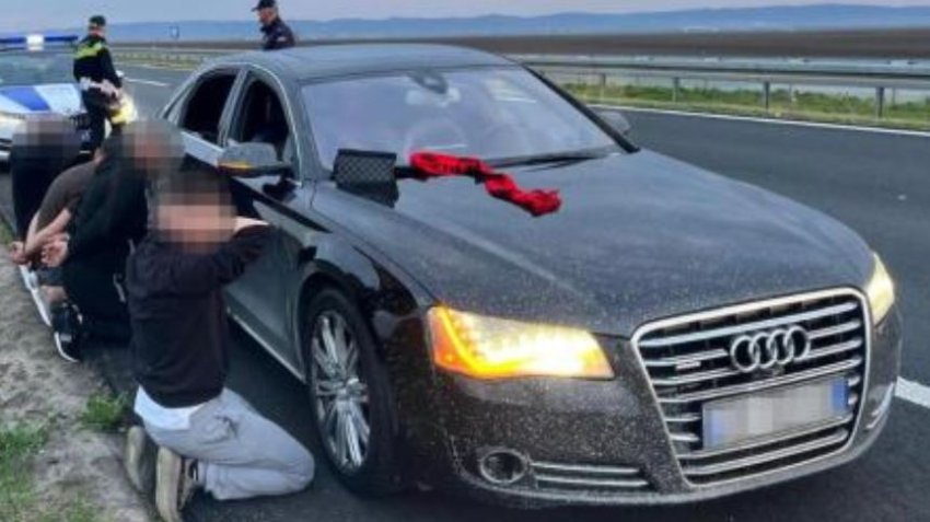 Katër tifozë shqiptarë arrestohen në Serbi, nesër para gjykatës