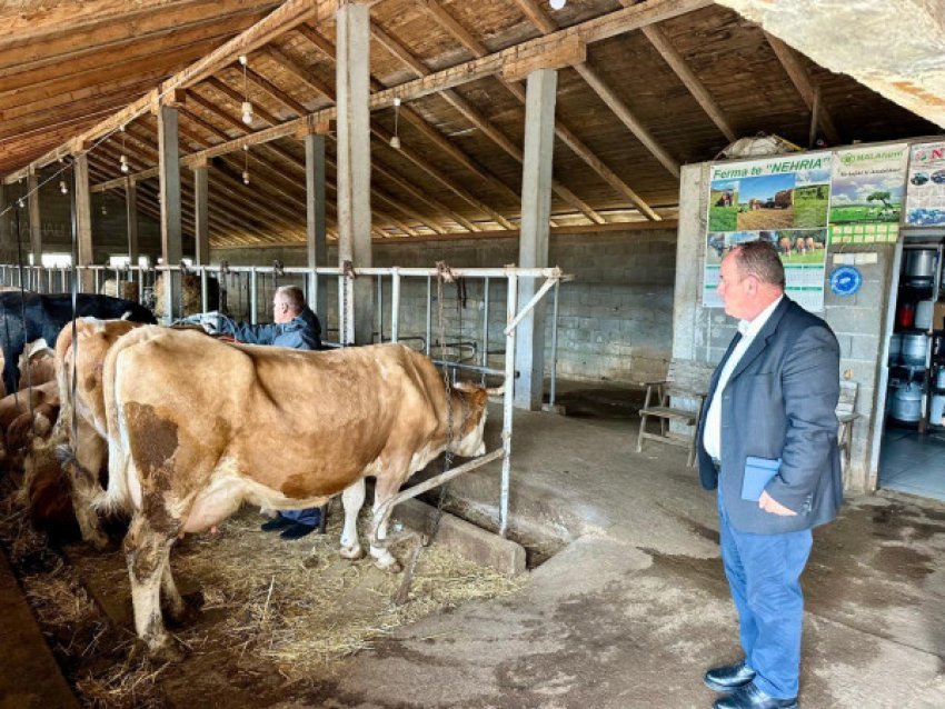 Malisheva nis trajtimin e kafshëve kundër rriqrave për parandalimin e EHKK-së