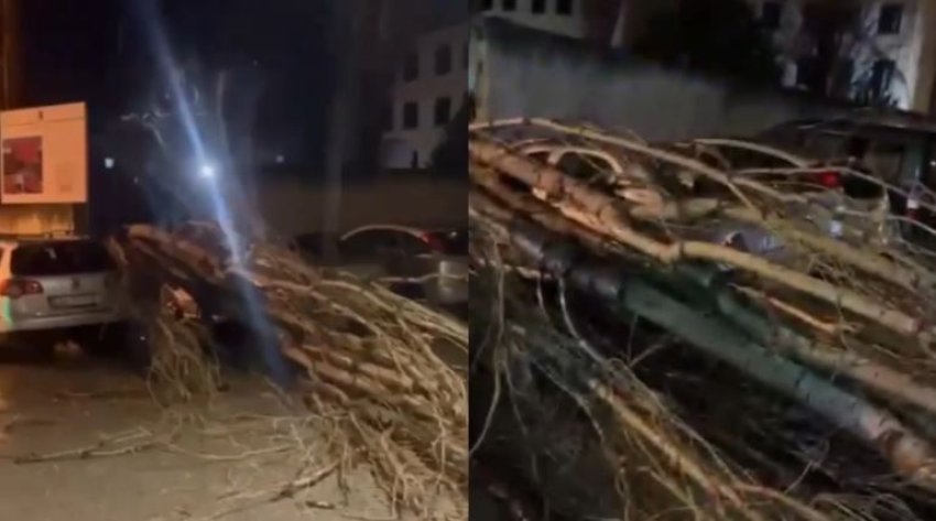 Era e fortë rrëzon pemët dhe shemb murin e shkollës në Vlorë