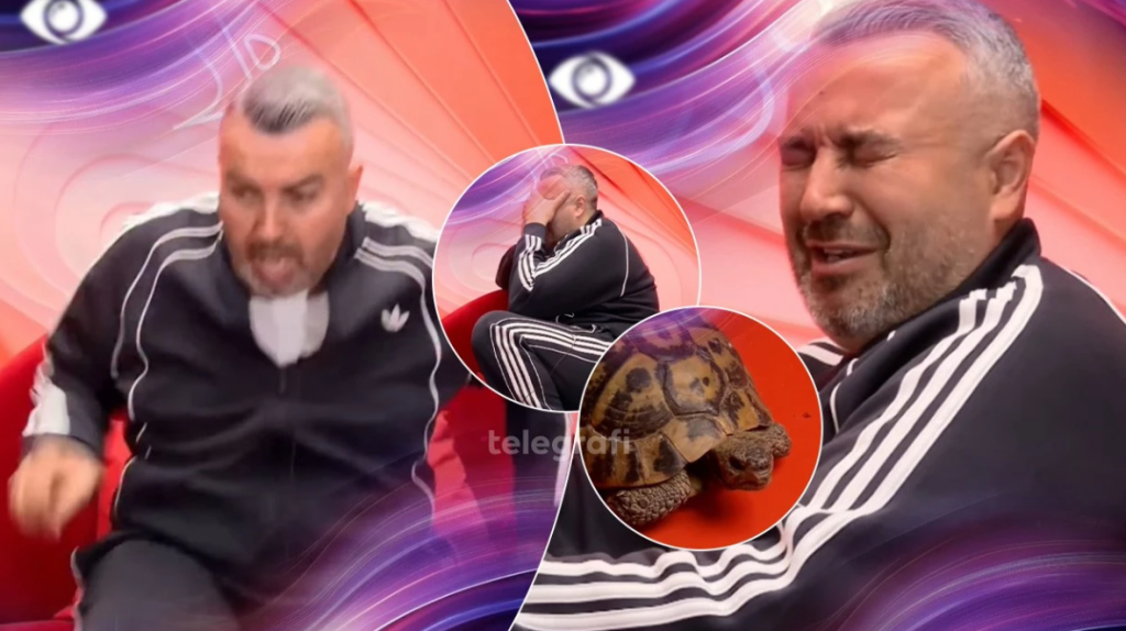 Frika epike e Rogertit nga breshkat në Big Brother VIP