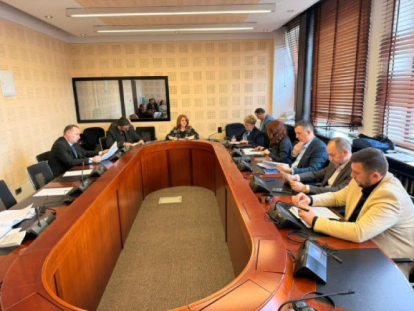 Debat i ashpër në Komisionin për të Drejtat e Njeriut për ekspozitën e Shkëlzen Gashit