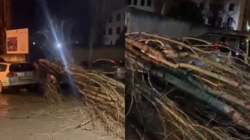Era e fortë rrëzon pemët dhe dëmton automjetet në Vlorë