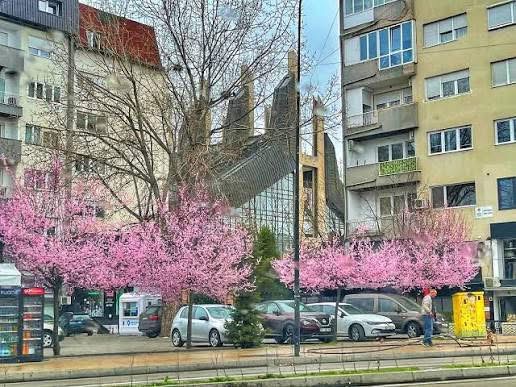 21 Marsi shënon fillimin e pranverës dhe ekuinoksin pranveror